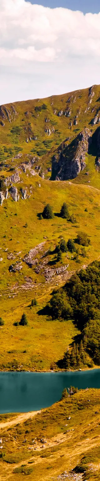 Durch einen Urwald mit 500 Jahre alten Bäumen wandern